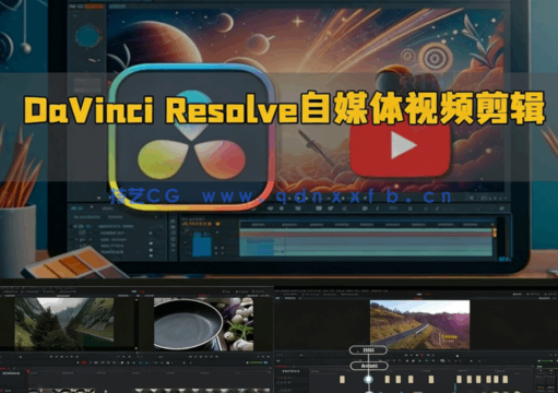 [DaVinci Resolve] DaVinci Resolve自媒体视频初学者剪辑指南视频教程(图1)