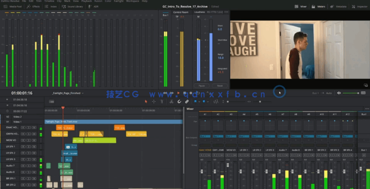 [DaVinci Resolve] DaVinci Resolve色彩校正视觉效果高效技巧视频教程(图5)