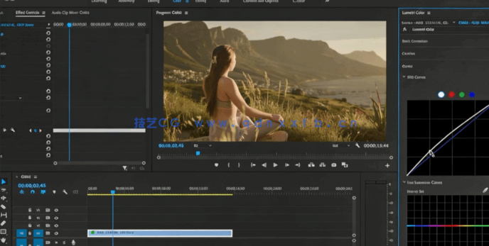 [DaVinci Resolve] DaVinci Resolve影视视频编辑制作完整训练视频教程(图6)