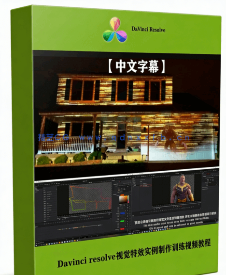 [DaVinci Resolve] 【中文字幕】Davinci resolve视觉特效实例制作训练视频教程(图1)