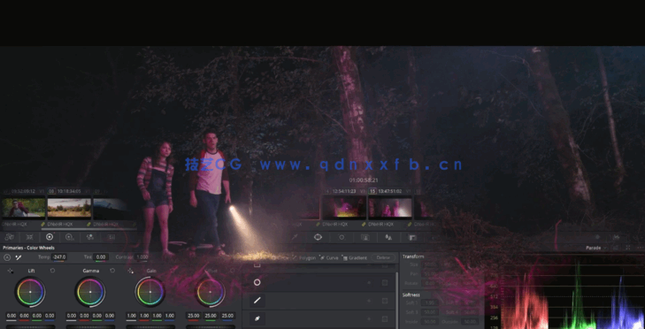 [DaVinci Resolve] DaVinci Resolve专业色彩校正技术大师班视频教程(图3)