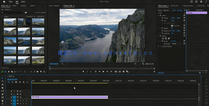 AE与PR 2024跟踪调色动画终极大师班视频教程(图5)