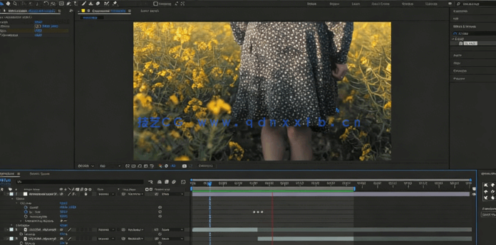 After Effects 2024基础入门训练视频教程(图5)
