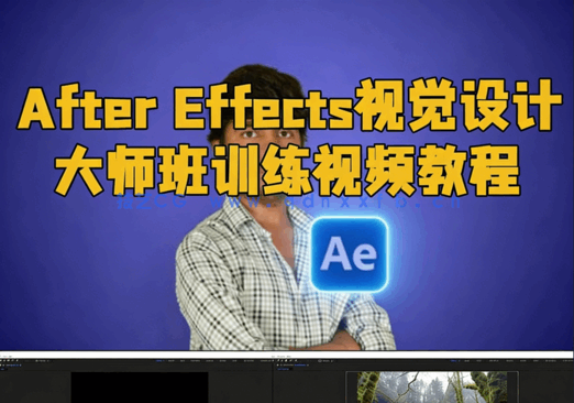 After Effects视觉设计大师班训练视频教程(图1)