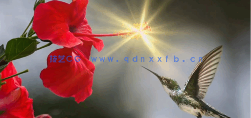 AE与PS 2.5D视差动画特效视频教程(图3)