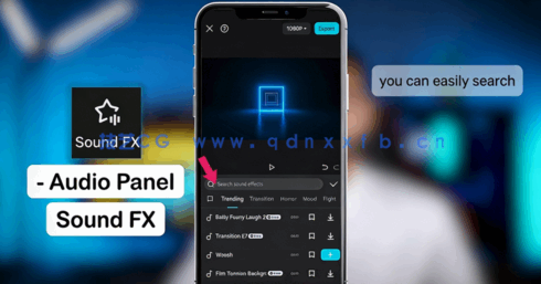 CapCut手机版视频剪辑传奇大师班视频教程(图4)
