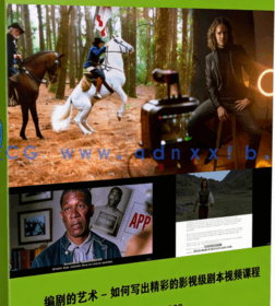 【中文字幕】编剧的艺术 - 如何写出精彩的影视级剧本视频课程(图6)