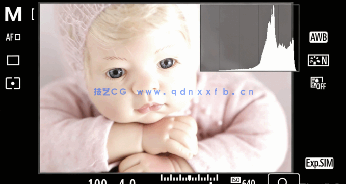 摄影棚灯光照明精通训练大师班视频教程(图3)