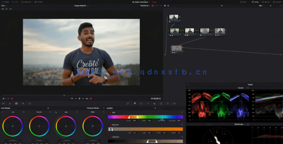 [DaVinci Resolve] DaVinci Resolve自由职业调色师完全培训大师级视频教程(图5)