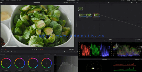 [DaVinci Resolve] DaVinci Resolve自由职业调色师完全培训大师级视频教程(图6)