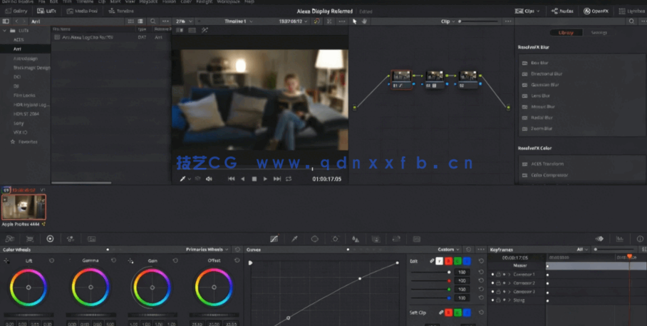 [DaVinci Resolve] DaVinci Resolve色彩管理工作流程大师班视频教程(图3)