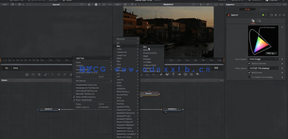 [DaVinci Resolve] DaVinci Resolve色彩管理工作流程大师班视频教程(图5)