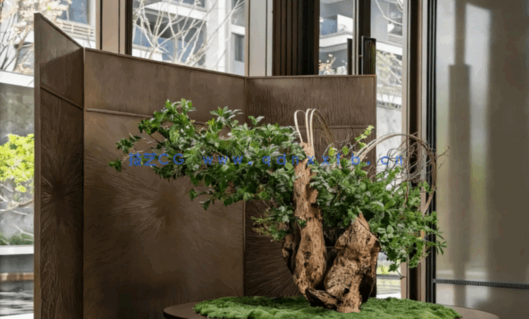 WJID维几设计-黄全-2022作品49套(图2)