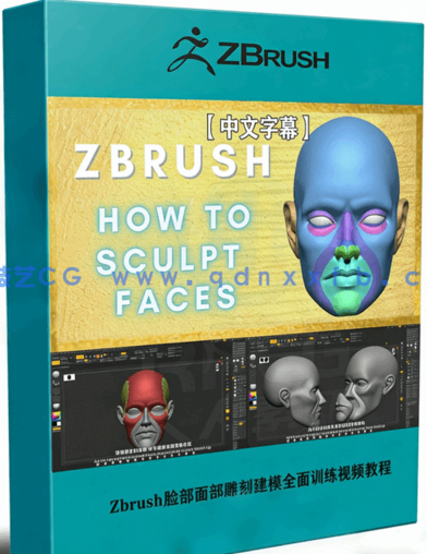 Zbrush脸部面部雕刻建模全面训练视频教程(图1)