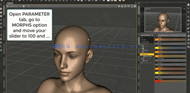 从ZBrush到Daz Studio角色模型雕刻训练视频教程(图5)