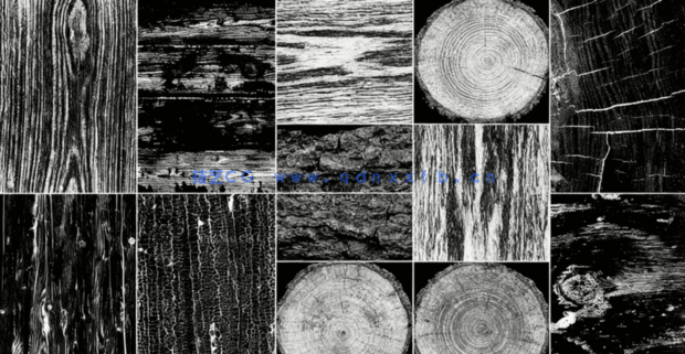 Wood surface Imperfection Vol 03 旧木凹凸纹理(图4)