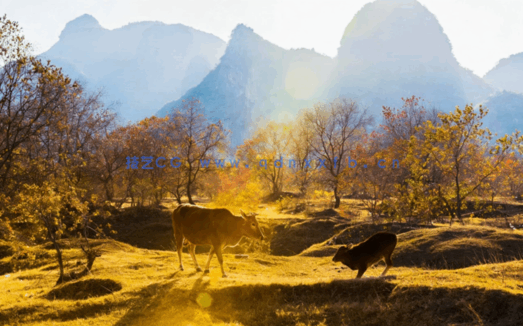 高清山水外景贴图风景贴图(图4)