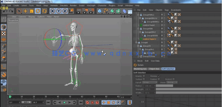C4D+AE骨骼绑定教程 医学动画 Skeleton Rigging Composition(图3)