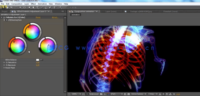 C4D+AE骨骼绑定教程 医学动画 Skeleton Rigging Composition(图4)