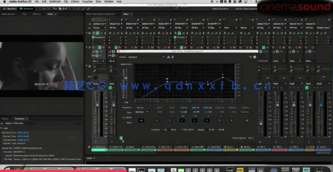 Audition CC影视音频制作大师班课程视频教程(图3)