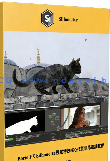 Boris FX Silhouette视觉特效核心技能训练视频教程(图6)