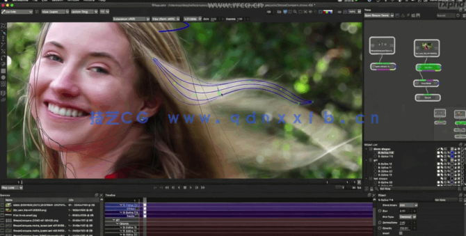 Silhouette与Roto影视后期工作流程大师级视频教程(图2)