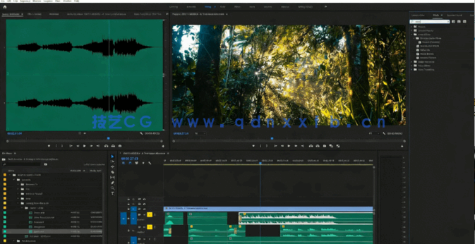 5daydeal影视制作2020年度视频教程合集(图4)