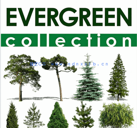 440组Vishopper出品树木植物建筑效果图背景插图JPG与PSD图片集(图3)