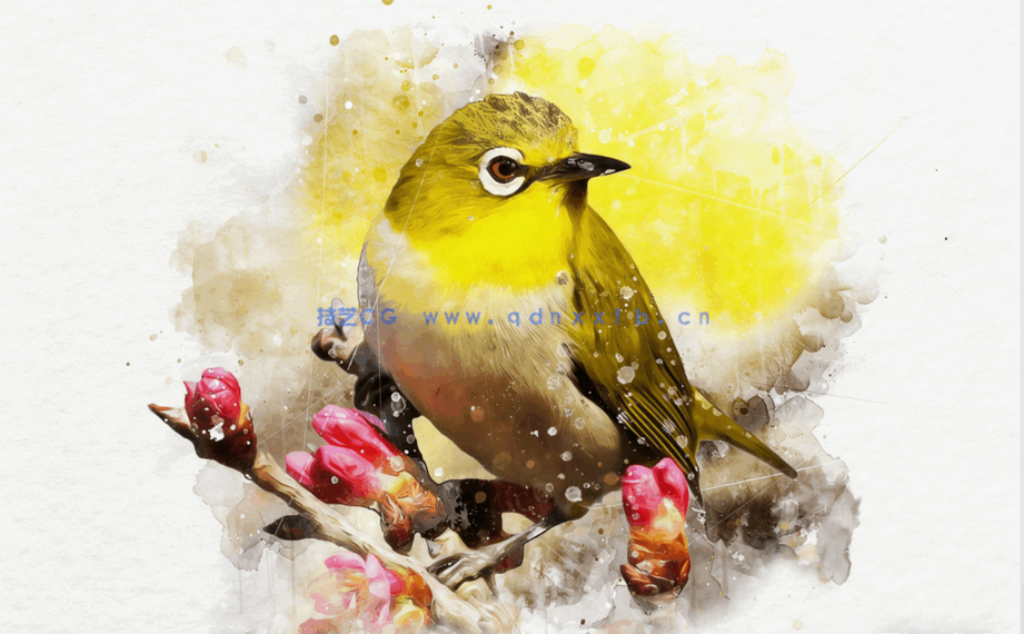 逼真写实水彩画背景晕染鸟类角色PSD模板(图1)