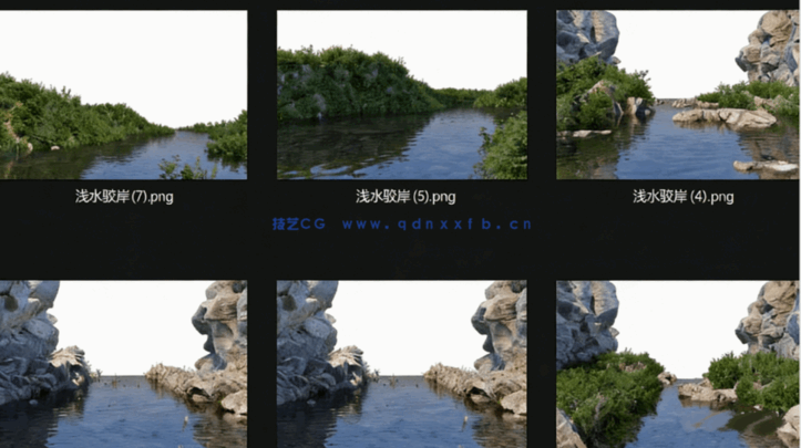 水景亲水驳岸植物组合PSD素材(27个)(图1)