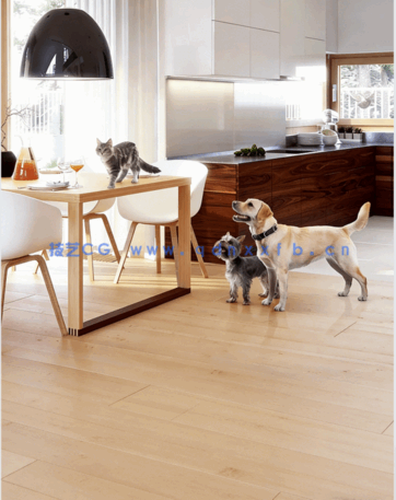 宠物PSD高清免抠素材Viz-People – Pets v1(图1)