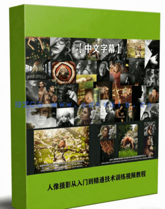 人像摄影从入门到精通技术训练视频教程(图6)