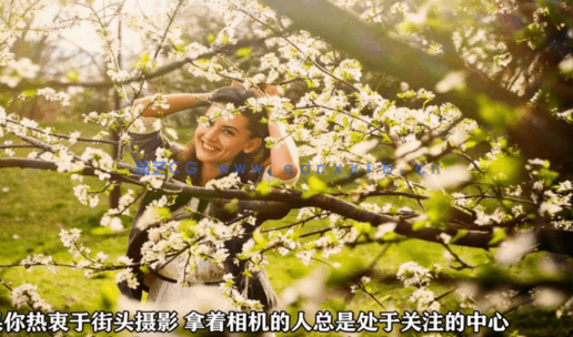 人像摄影从入门到精通技术训练视频教程(图2)