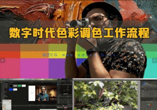 数字时代摄影师和电影制作人色彩调色工作流程视频教程(图5)