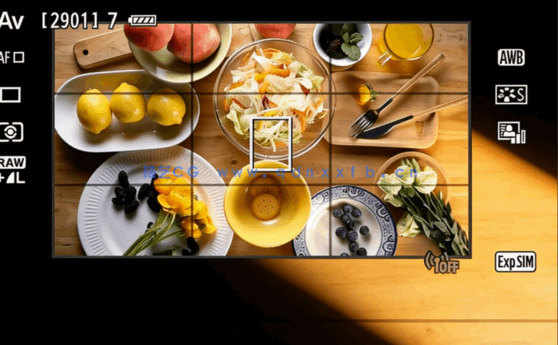 大师级如何凸显产品品质摄影视频教程(图5)