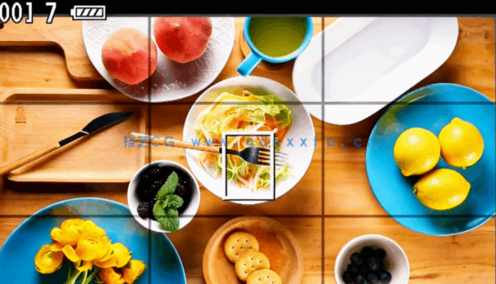 大师级如何凸显产品品质摄影视频教程(图3)