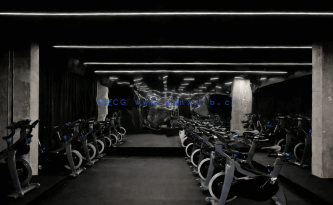 2022室内设计师资料库 国外工装篇 健身房(71)套(图7)