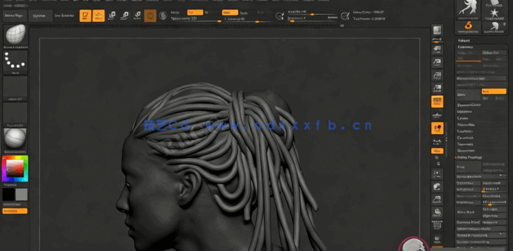  Zbrush头发脏辫发型实例制作训练视频教程(图4)
