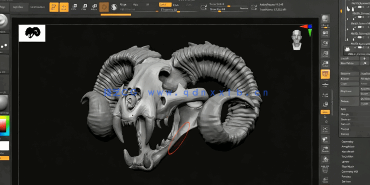  Zbrush奇美拉动物骨架数字雕刻实例训练视频教程(图5)
