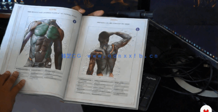 Zbrush数字点塑理论基础核心技术视频教程(图5)