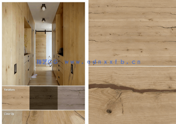 [Arroway Textures Design_Craft vol.4][Design Veneers][木饰面板](图2)