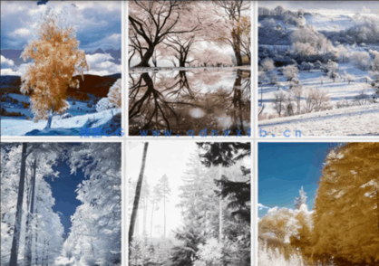 唯美森林风景沙发背景装饰画贴图(图2)