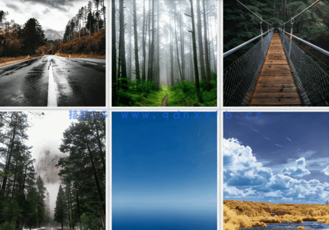 唯美森林风景沙发背景装饰画贴图(图1)