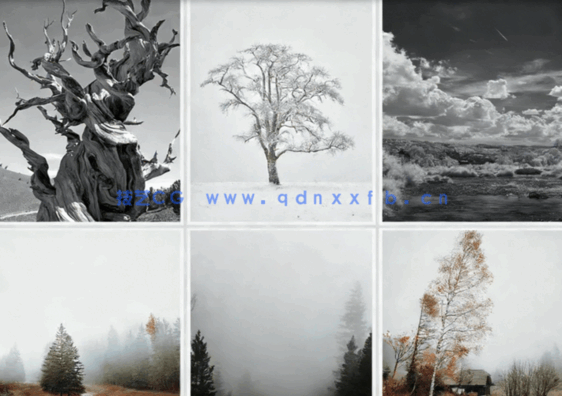 唯美森林风景沙发背景装饰画贴图(图4)