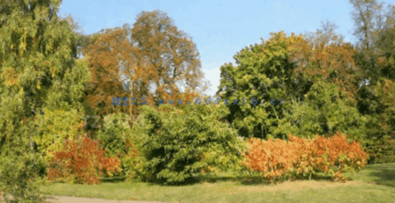 高清外景贴图(图3)