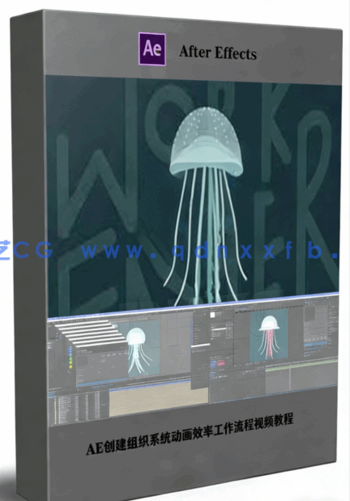 AE创建组织系统动画效率工作流程视频教程(图1)