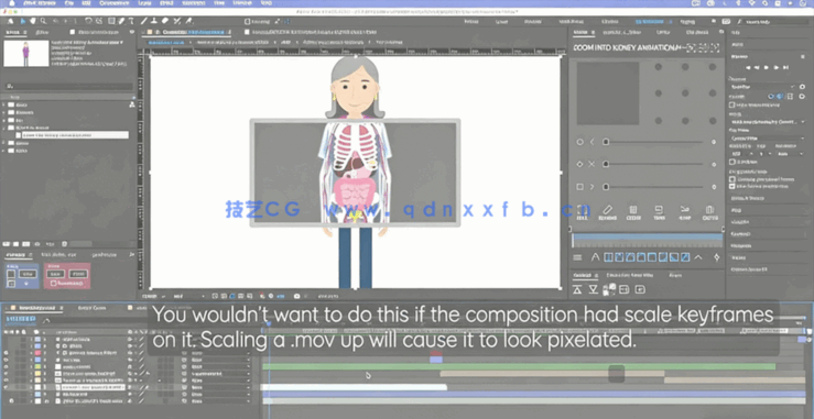 AE创建组织系统动画效率工作流程视频教程(图6)