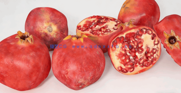 石榴水果模型 Pomegranate Fruit model(图2)