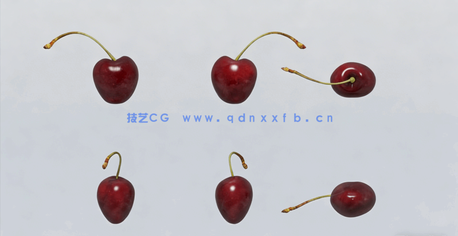 樱桃水果模型 Cherries Fruit model(图1)