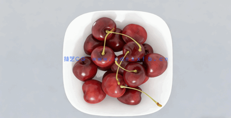 樱桃水果模型 Cherries Fruit model(图2)
